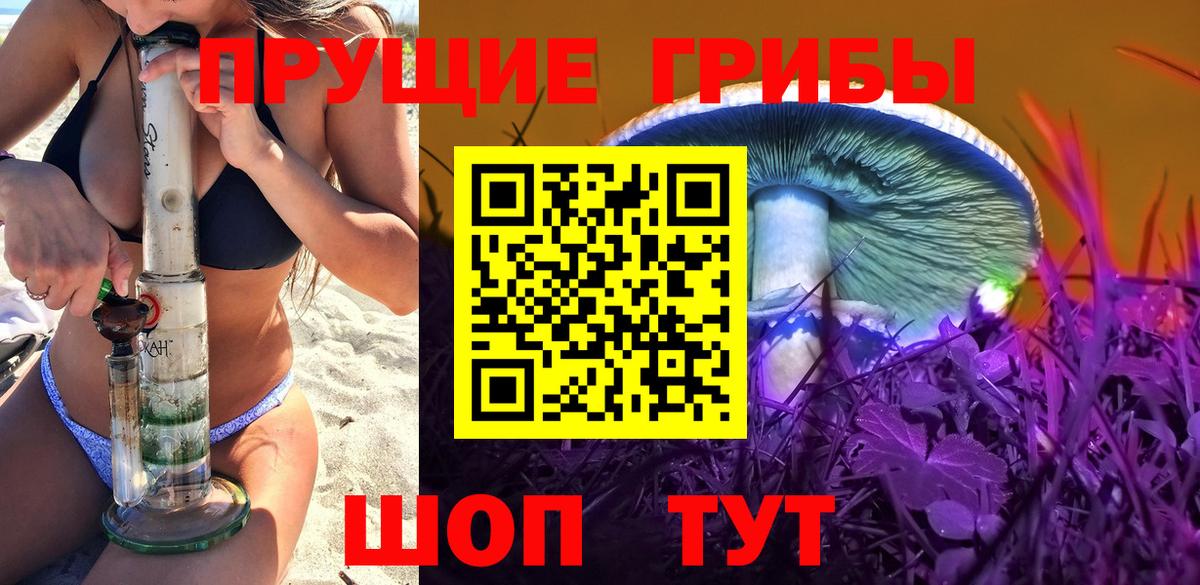 Псилоцибиновые грибы Psilocybine cubensis Чехов